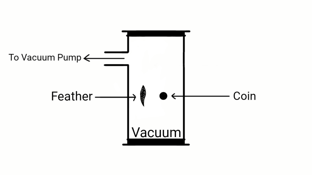 Coin and Feather Experiment Figure (2)