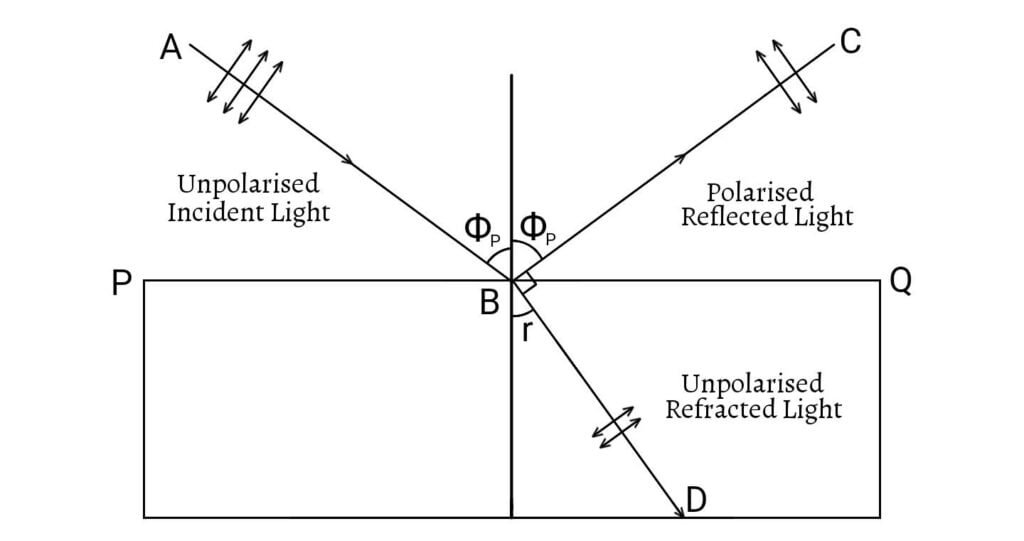 Brewster's Law: Production of Polarized Light by Reflection