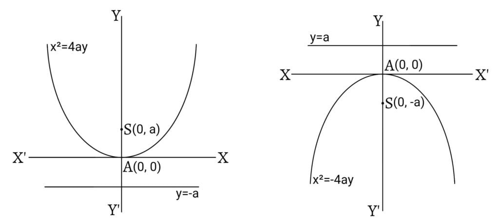 Parabola whose axis is y-axis: x^2=4ay and x^2=-4ay