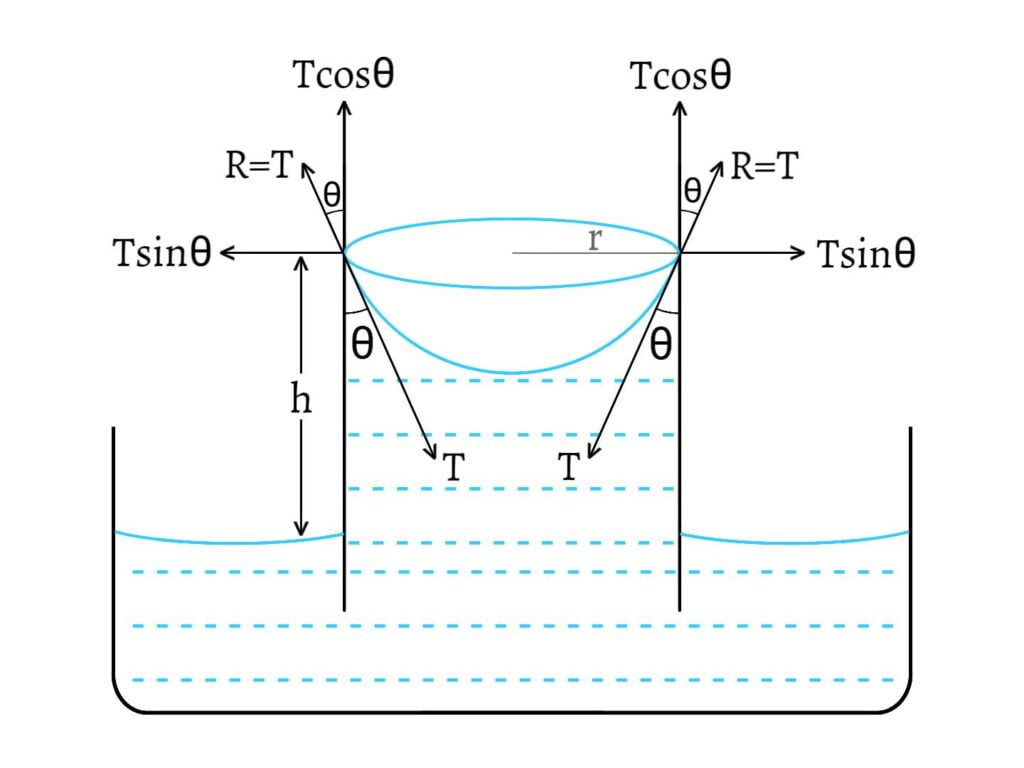 Derivation of Ascent Formula: Rise of Liquid in the Capillary Tube