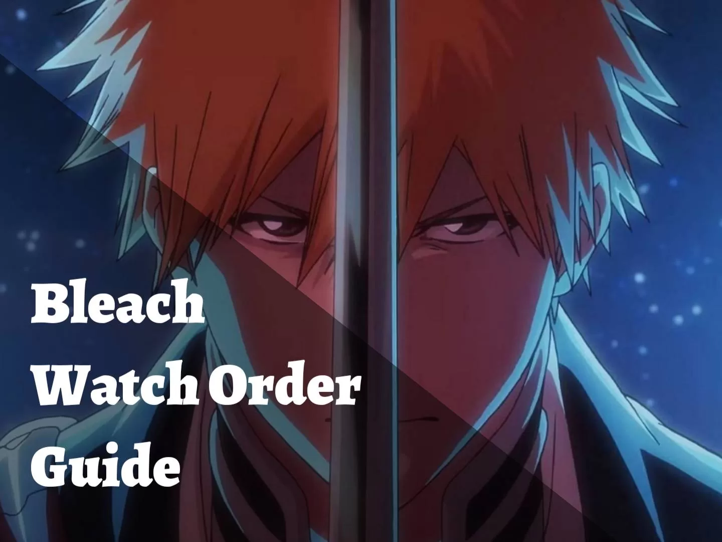 Bleach Watch Order Guide